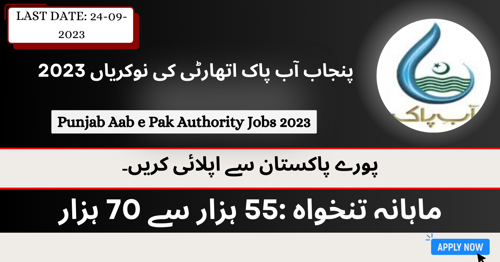 Punjab Aab E Pak Authority Jobs 2023 Apply Online Bulk Cart 